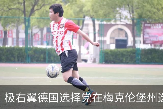 极右翼德国选择党在梅克伦堡州选举中获胜